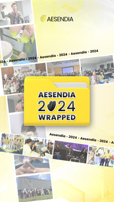 Aesendia 2024 Wrapped